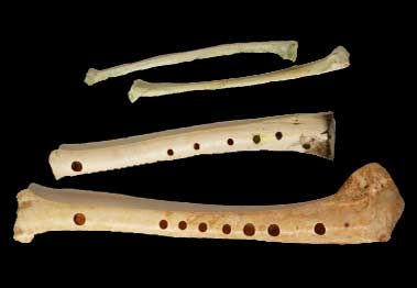Resultado de imagen para en que aÃ±o aparecieron los primeros instrumentos musicales